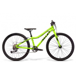 amulet_2022_tomcat_24_fluo-ii