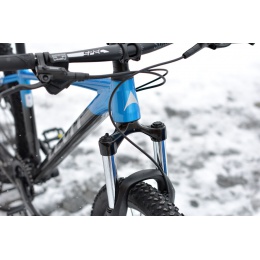 levit_2022_draco_27_blue_det_2